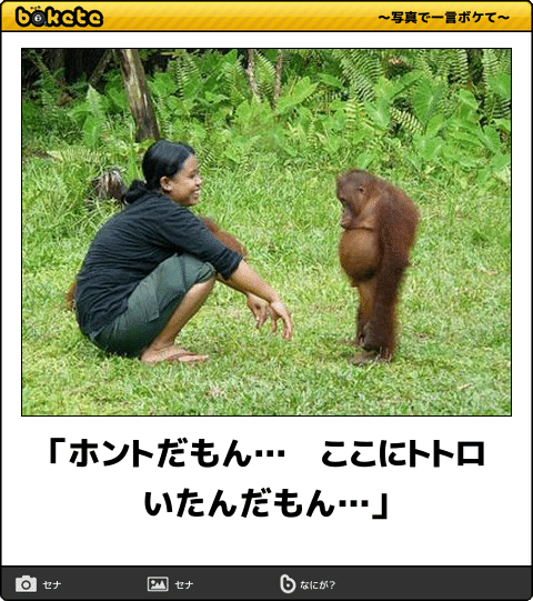 動物のboketeを貼るトピpart4