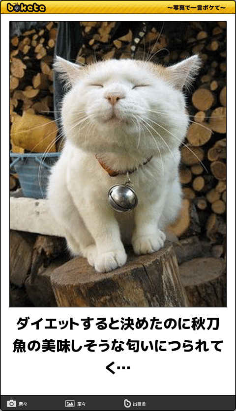 動物のboketeを貼るトピpart4