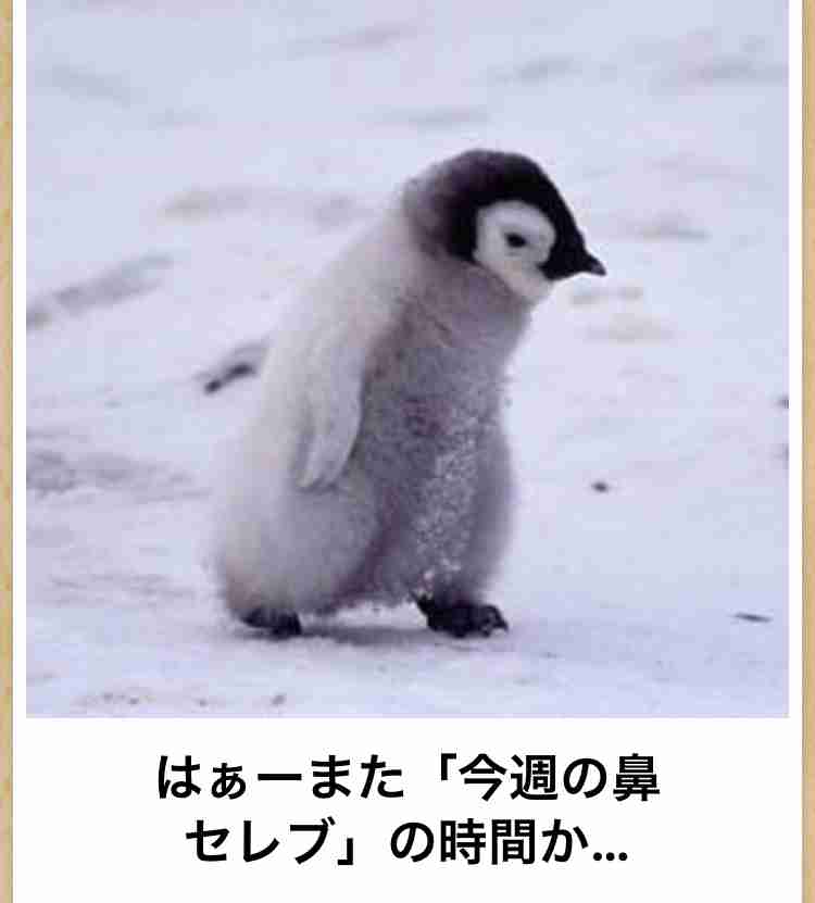 動物のboketeを貼るトピpart4