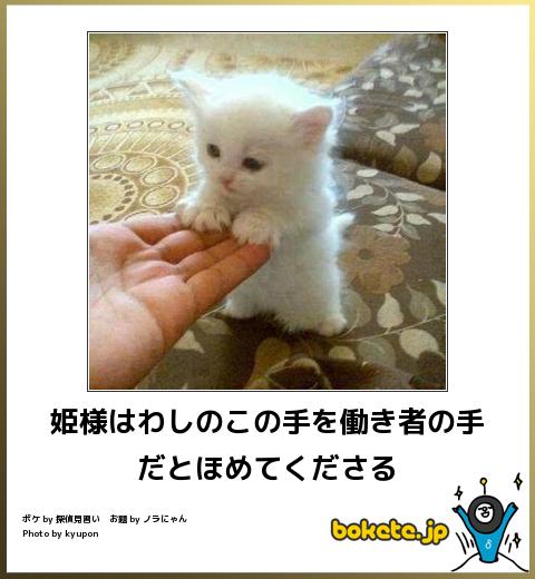 動物のboketeを貼るトピpart4