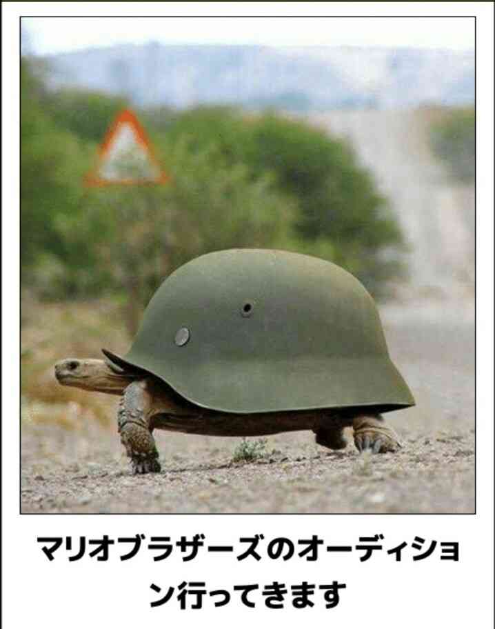動物のboketeを貼るトピpart4