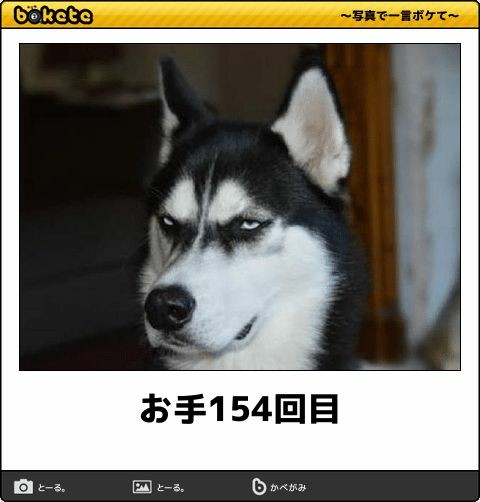 動物のboketeを貼るトピpart4