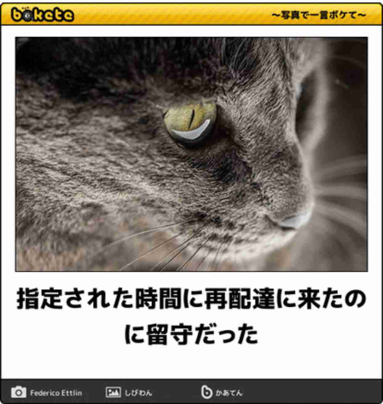 動物のboketeを貼るトピpart4
