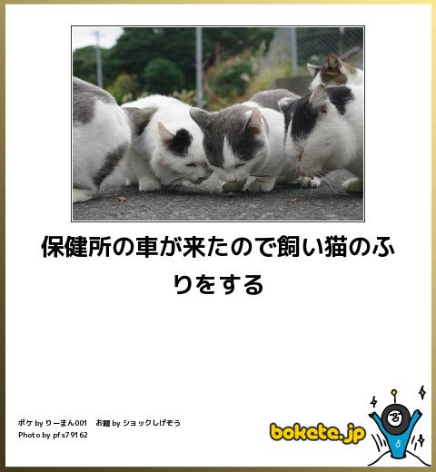 動物のboketeを貼るトピpart4