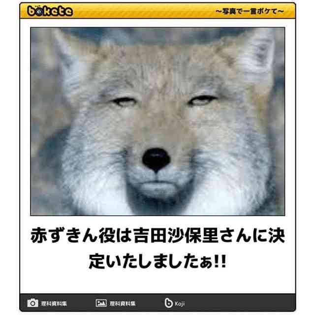 動物のboketeを貼るトピpart4