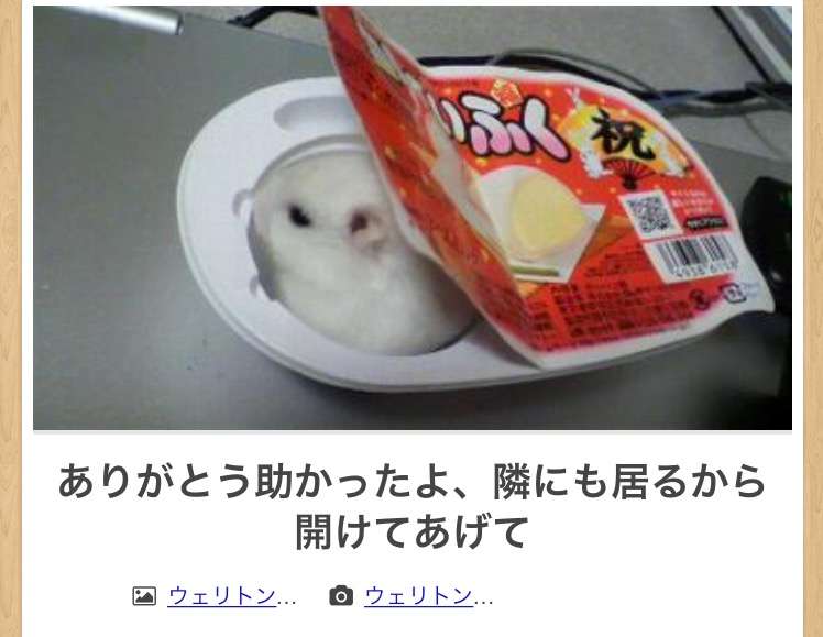 動物のboketeを貼るトピpart4
