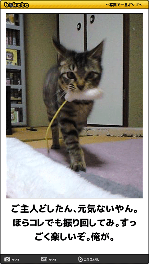 動物のboketeを貼るトピpart4