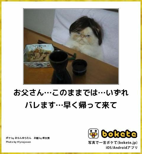 動物のboketeを貼るトピpart4
