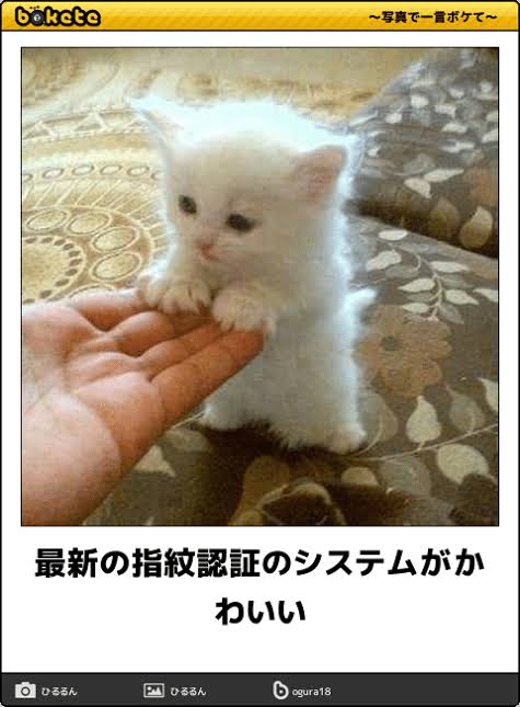 動物のboketeを貼るトピpart4