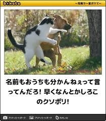 動物のboketeを貼るトピpart4