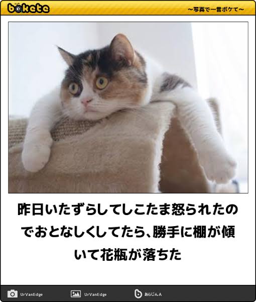 動物のboketeを貼るトピpart4