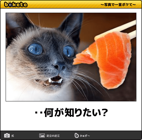 動物のboketeを貼るトピpart4
