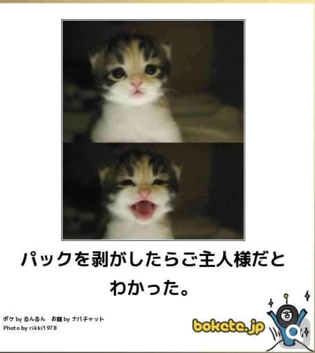動物のboketeを貼るトピpart4