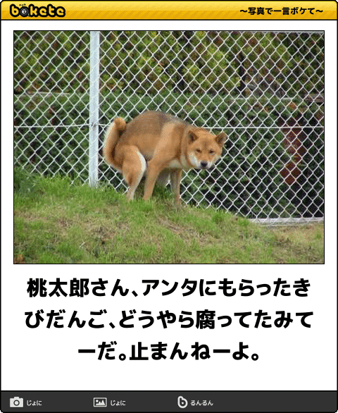 動物のboketeを貼るトピpart4