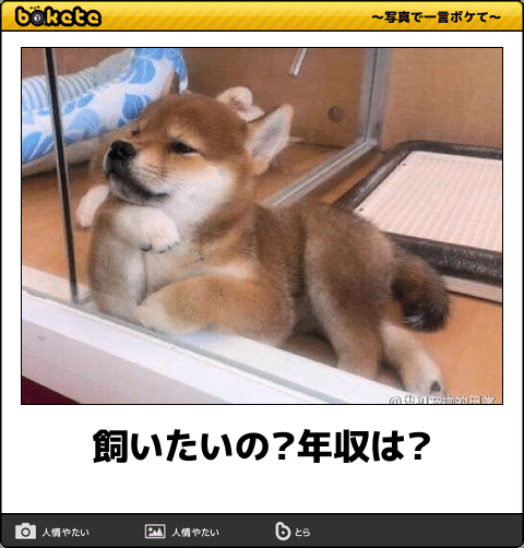 動物のboketeを貼るトピpart4