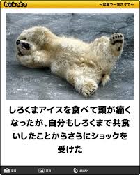 動物のboketeを貼るトピpart4