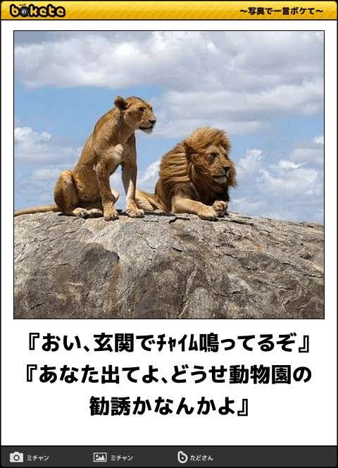動物のboketeを貼るトピpart4