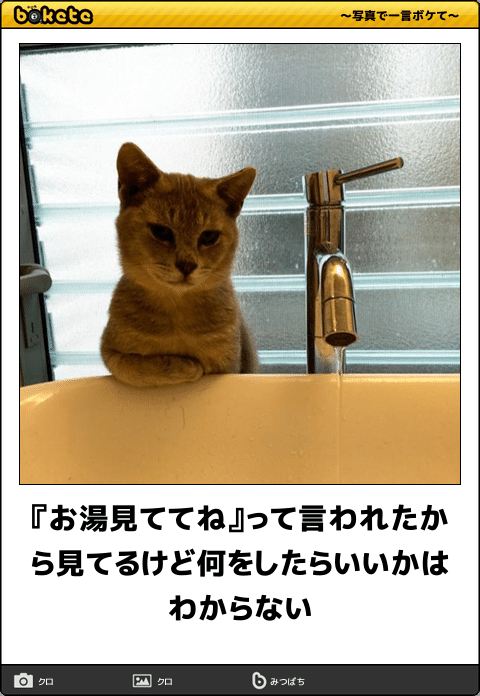 動物のboketeを貼るトピpart4