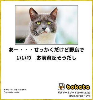 動物のboketeを貼るトピpart4