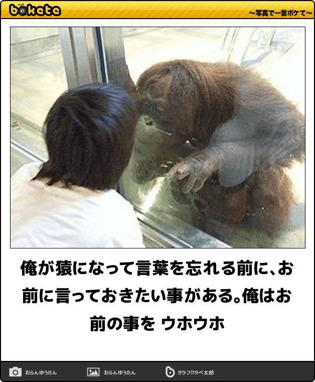 動物のboketeを貼るトピpart4