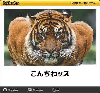 動物のboketeを貼るトピpart4