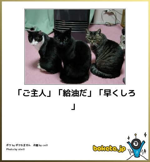 動物のboketeを貼るトピpart4