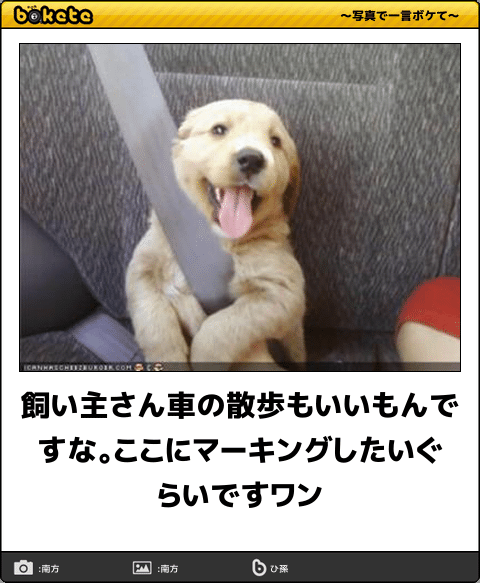 動物のboketeを貼るトピpart4
