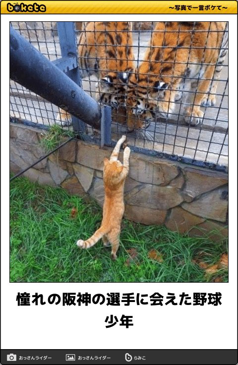 動物のboketeを貼るトピpart4
