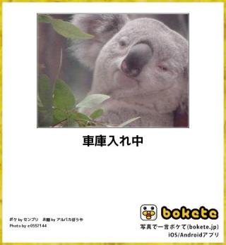 動物のboketeを貼るトピpart4