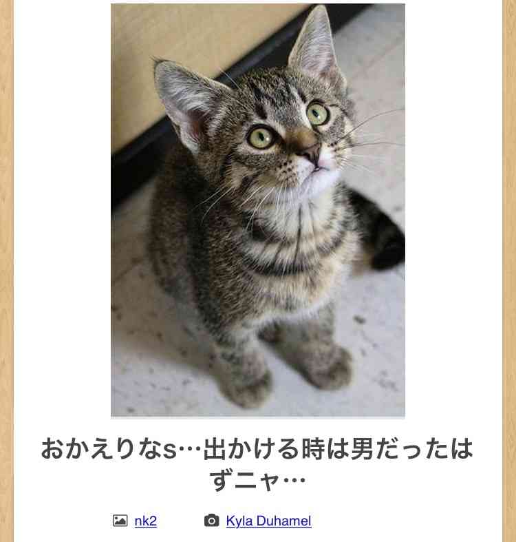 動物のboketeを貼るトピpart4