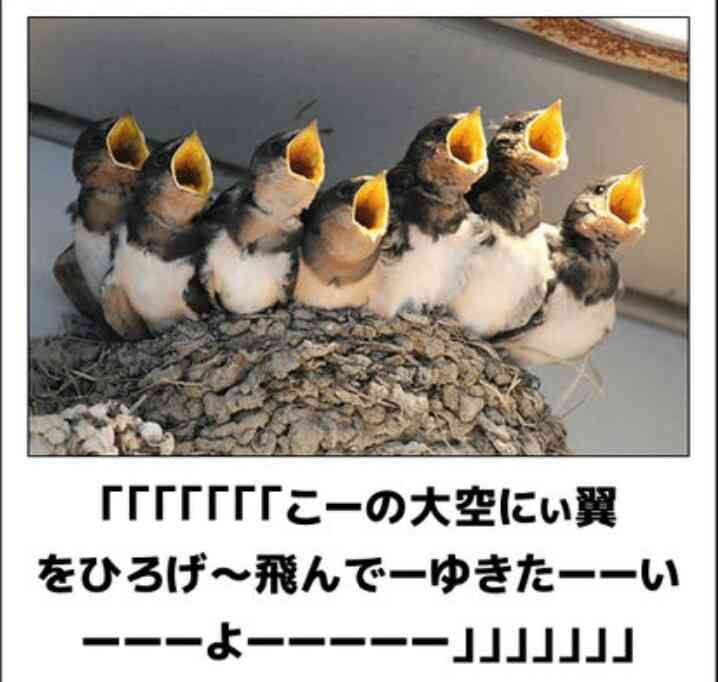 動物のboketeを貼るトピpart4
