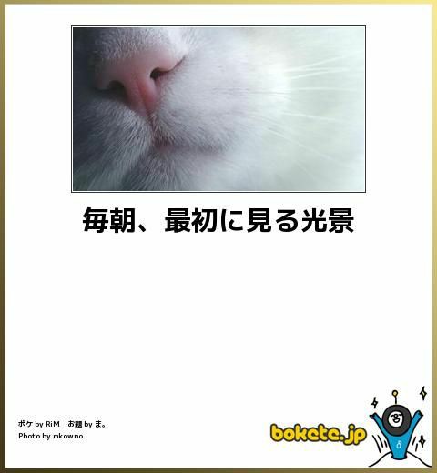 動物のboketeを貼るトピpart4