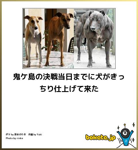 動物のboketeを貼るトピpart4