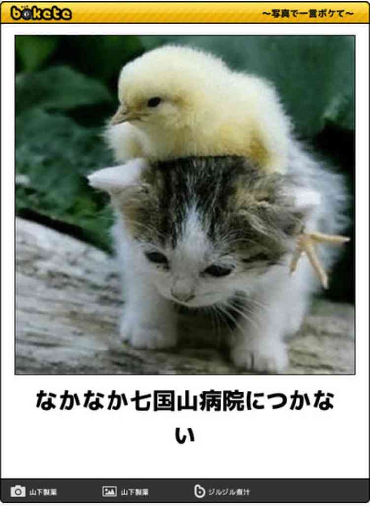 動物のboketeを貼るトピpart4
