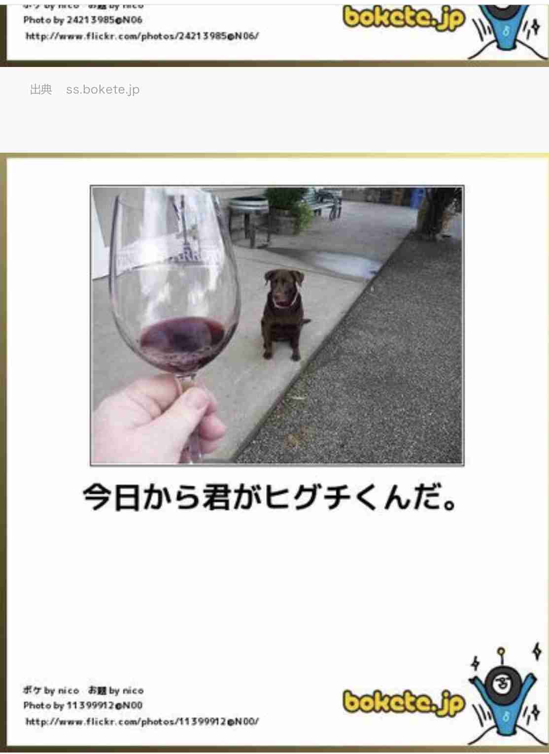 動物のboketeを貼るトピpart4
