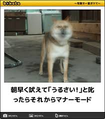 動物のboketeを貼るトピpart4