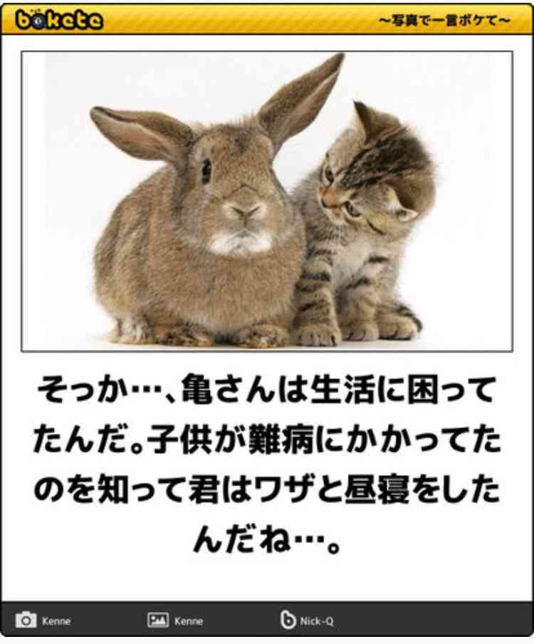 動物のboketeを貼るトピpart4