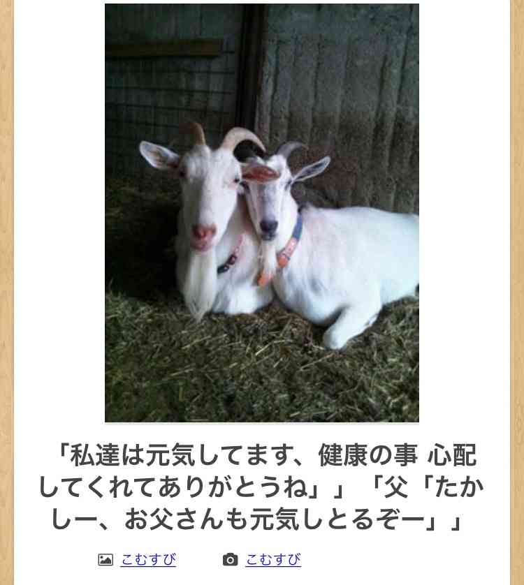 動物のboketeを貼るトピpart4