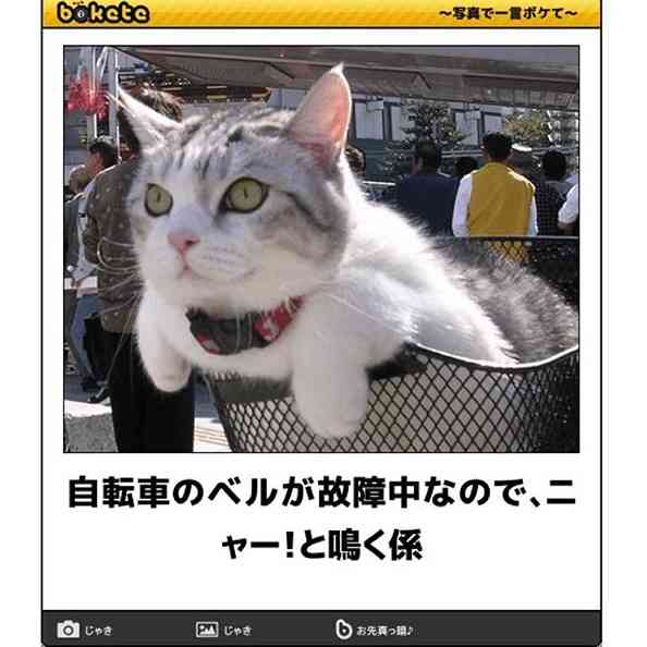 動物のboketeを貼るトピpart4
