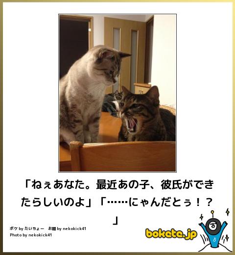 動物のboketeを貼るトピpart4