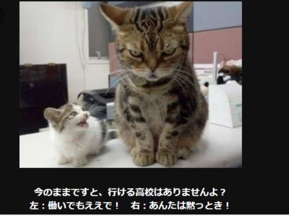 動物のboketeを貼るトピpart4