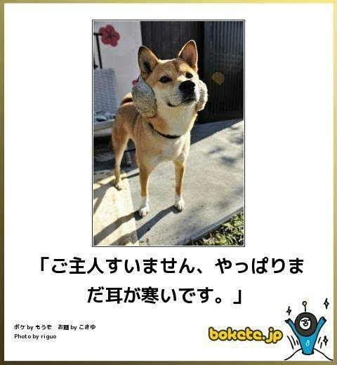 動物のboketeを貼るトピpart4