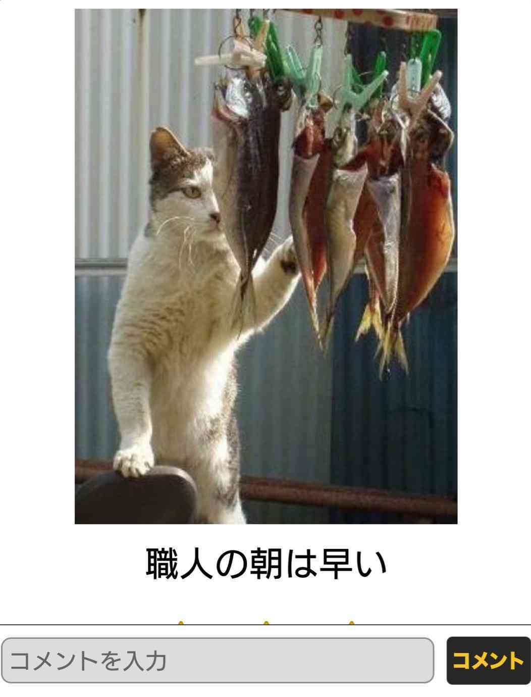 動物のboketeを貼るトピpart4