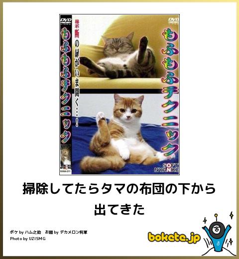 動物のboketeを貼るトピpart4