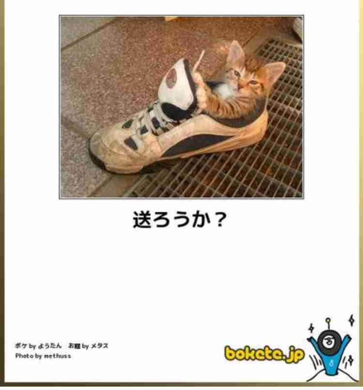 動物のboketeを貼るトピpart4
