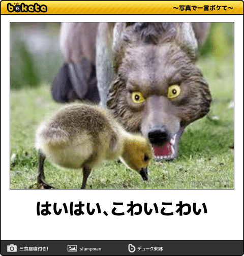 動物のboketeを貼るトピpart4