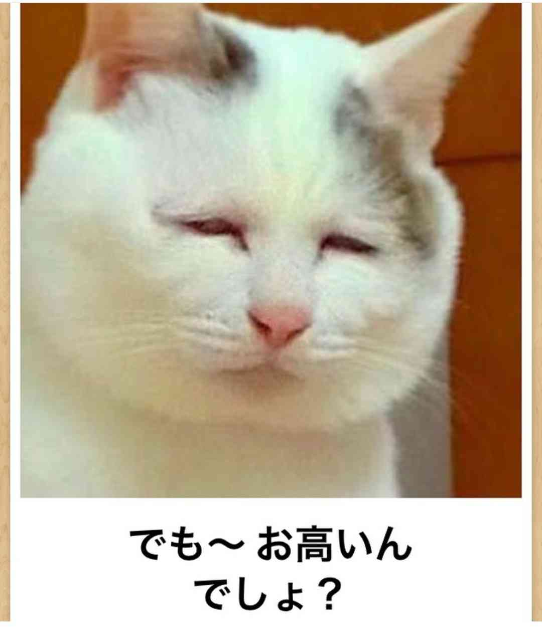 動物のboketeを貼るトピpart4