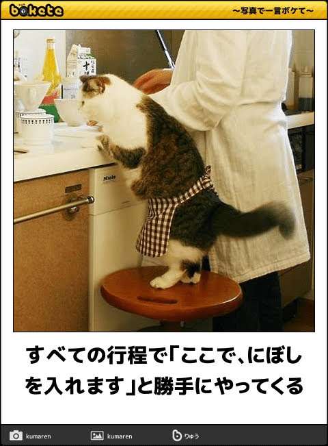 動物のboketeを貼るトピpart4