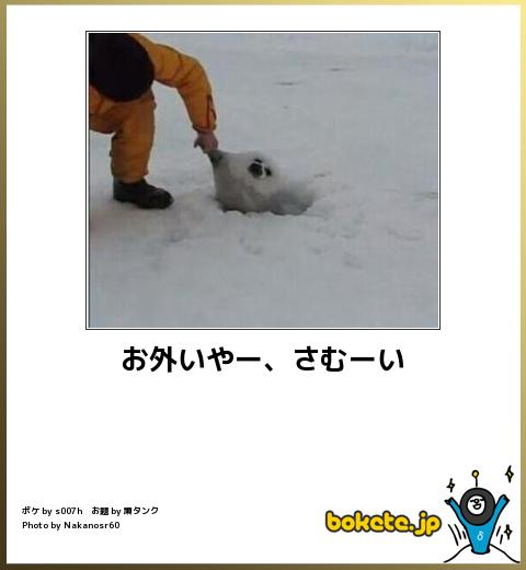 動物のboketeを貼るトピpart4