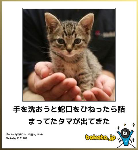 動物のboketeを貼るトピpart4